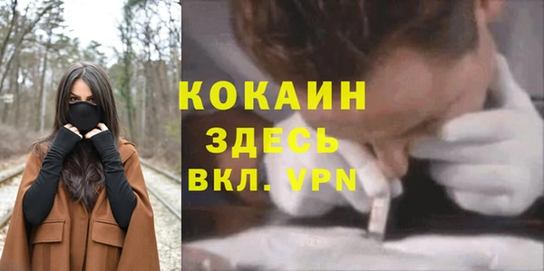 дурь Михайлов