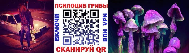 как найти закладки  ссылка на мегу   Псилоцибиновые грибы Psilocybine cubensis  Сегежа 