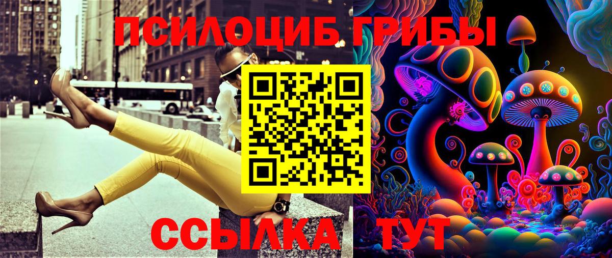 Псилоцибиновые грибы мухоморы  Вход с VPN  где купить наркотик  Сегежа 