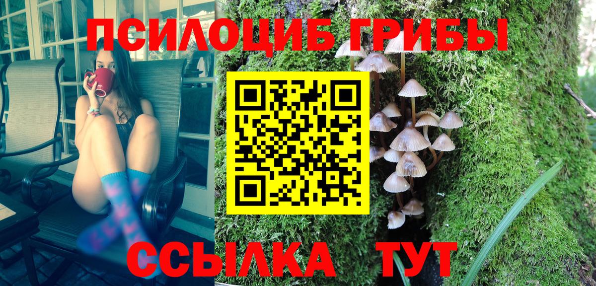 Псилоцибиновые грибы прущие грибы Сегежа